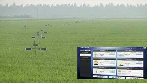 大田物聯(lián)網(wǎng)